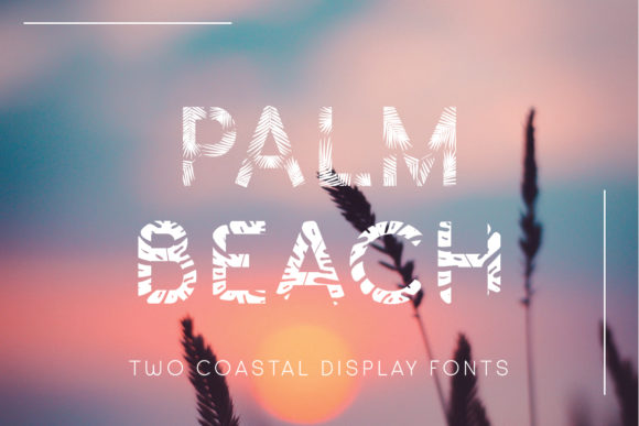 Download Palm Beach - Beach Collection